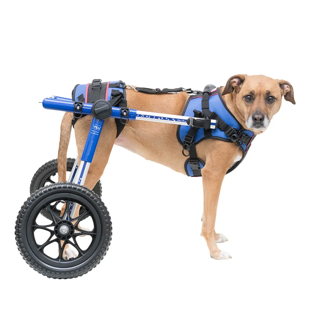 Best dog wheelchair